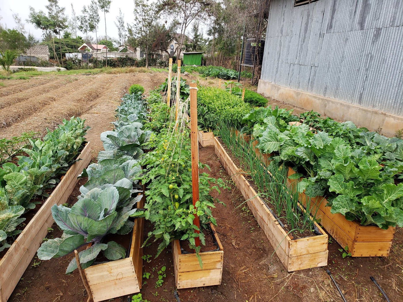 Women Smiles Uganda Empowering Women And Youth